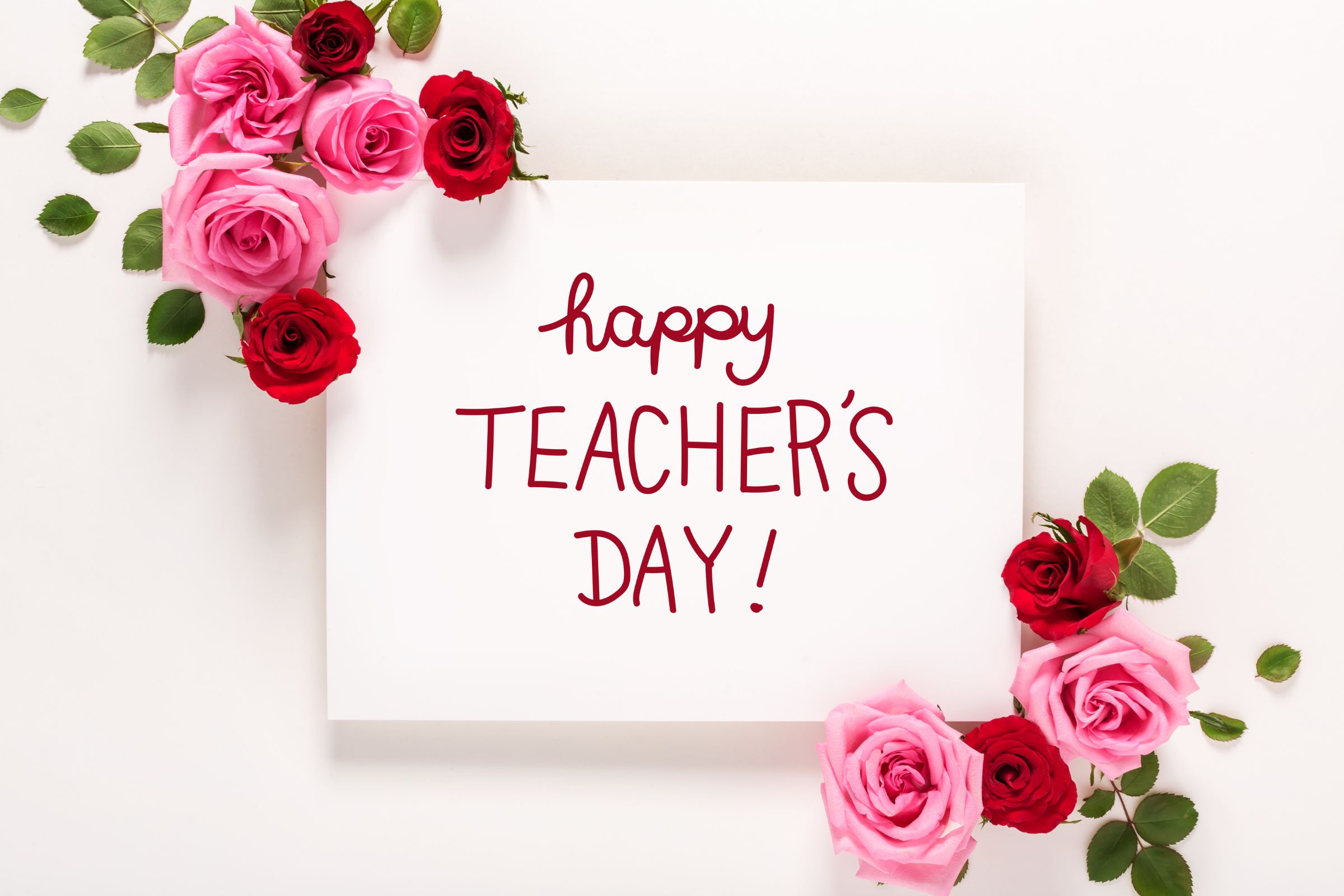 2400 x 1600 Education Consultant (1)